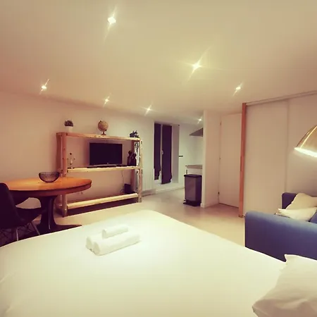 Studio Renovee Coeur De Vienne Appartamento Vienne (Isere)