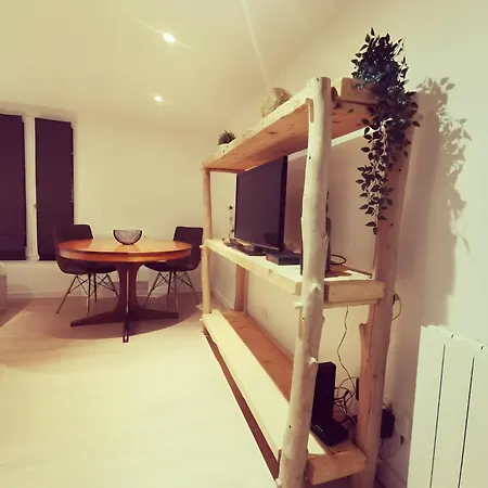 Studio Renovee Coeur De Vienne * Vienne (Isere)