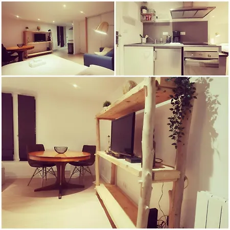 Appartamento Studio Renovee Coeur De Vienne Vienne (Isere)